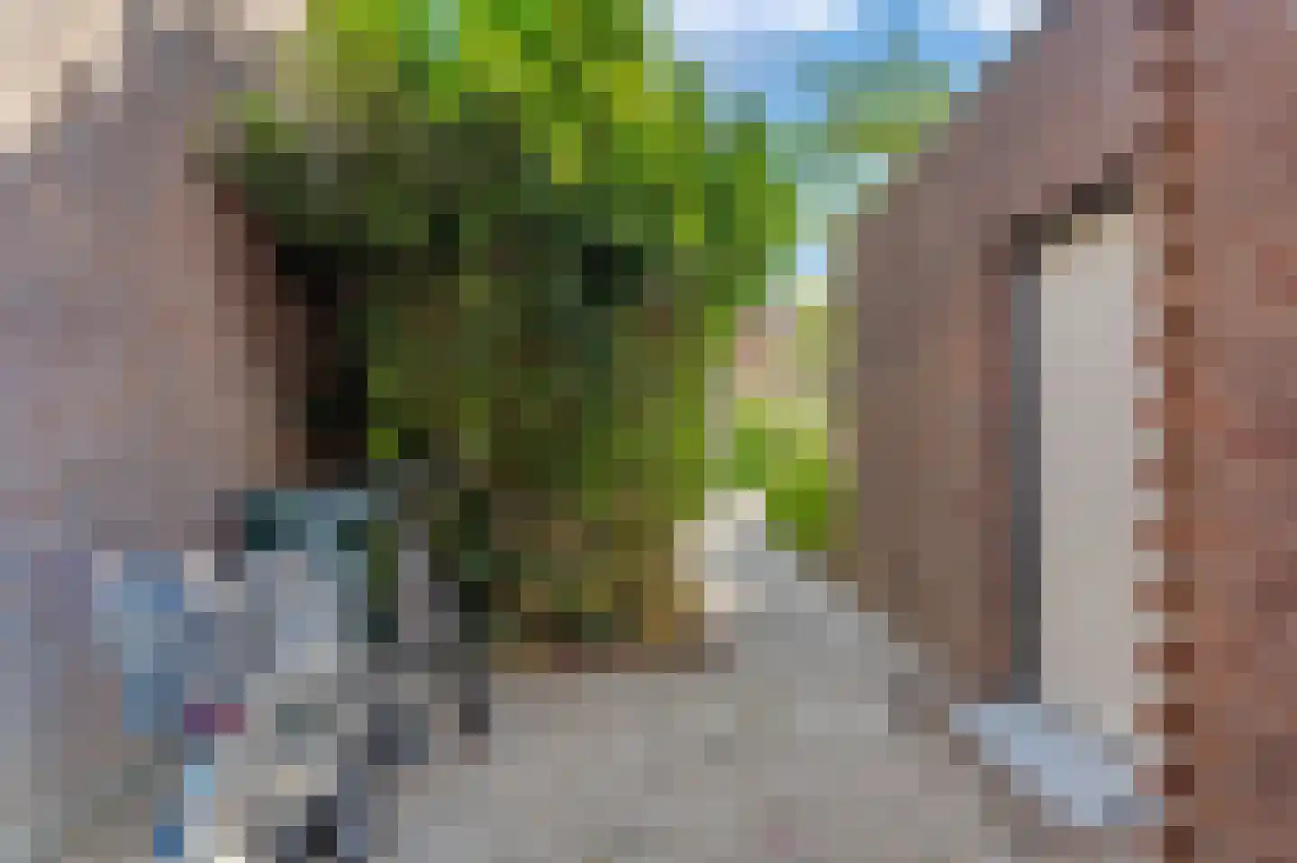 Schelpkreek 1 Zwolle thumbnail 42