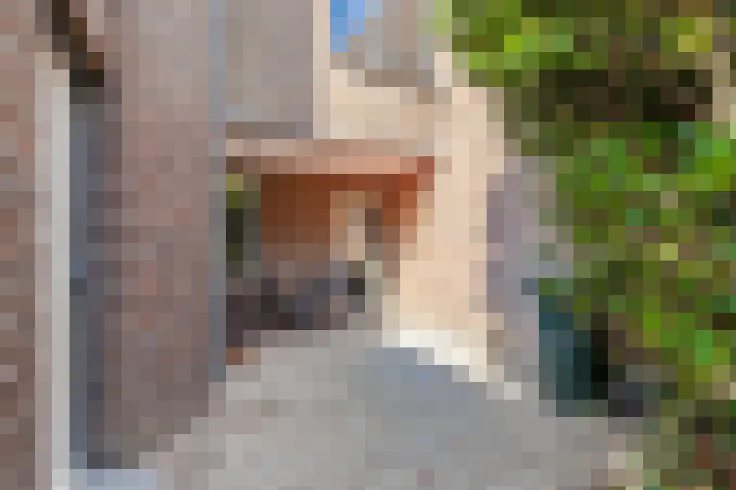 Schelpkreek 1 Zwolle thumbnail 6