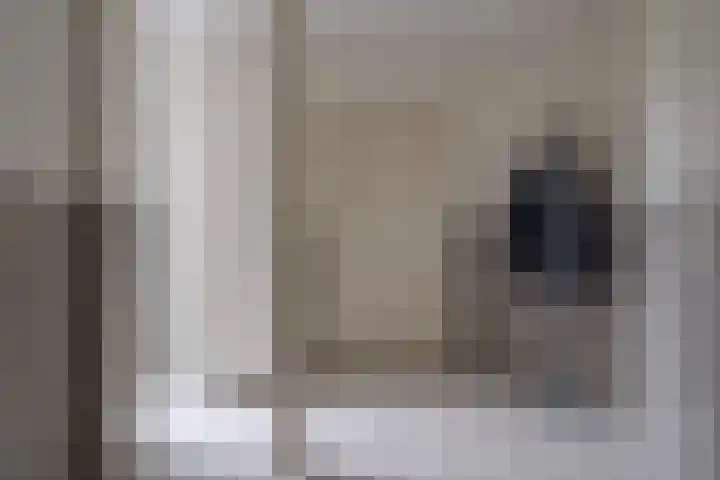 Schelpkreek 27 Zwolle thumbnail 10
