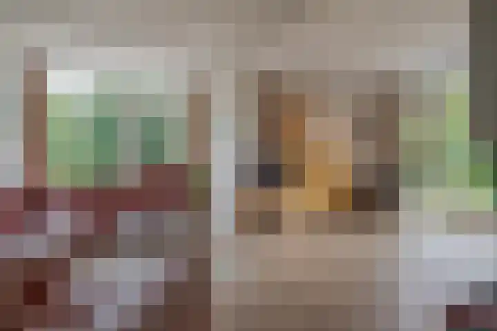 Schelpkreek 27 Zwolle thumbnail 15