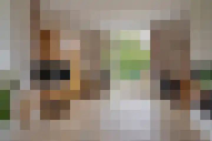 Schelpkreek 27 Zwolle thumbnail 17