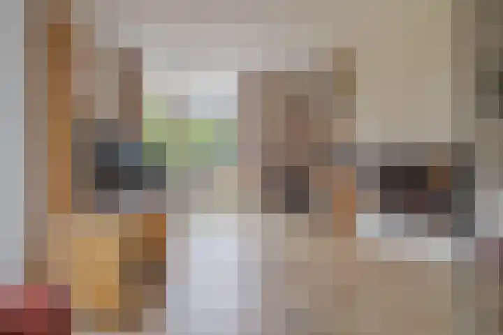 Schelpkreek 27 Zwolle thumbnail 19