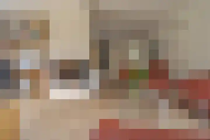 Schelpkreek 27 Zwolle thumbnail 20