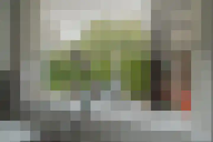 Schelpkreek 27 Zwolle thumbnail 25