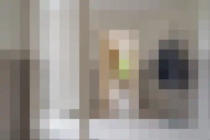 Schelpkreek 27 Zwolle thumbnail 28