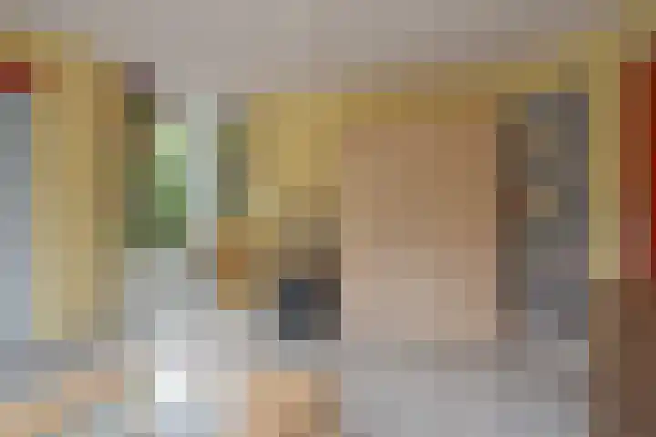 Schelpkreek 27 Zwolle thumbnail 32