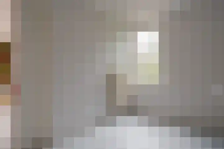 Schelpkreek 27 Zwolle thumbnail 36