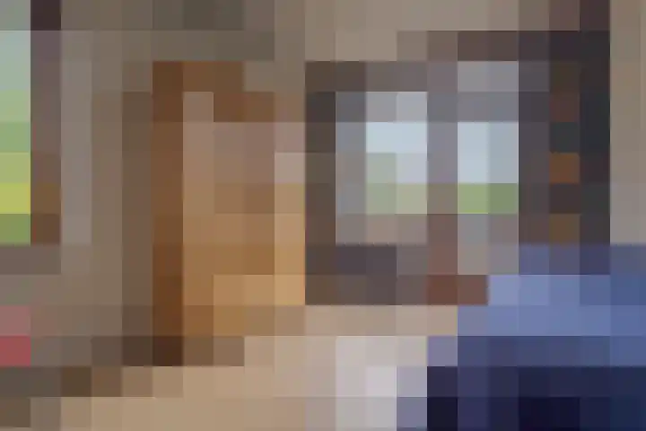 Schelpkreek 27 Zwolle thumbnail 41