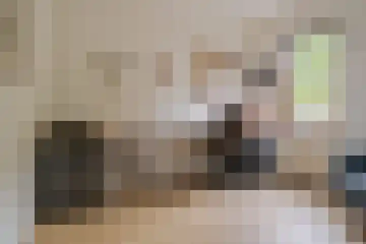 Schelpkreek 27 Zwolle thumbnail 47