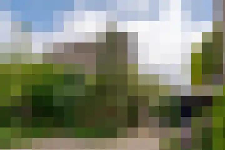 Schelpkreek 27 Zwolle thumbnail 5