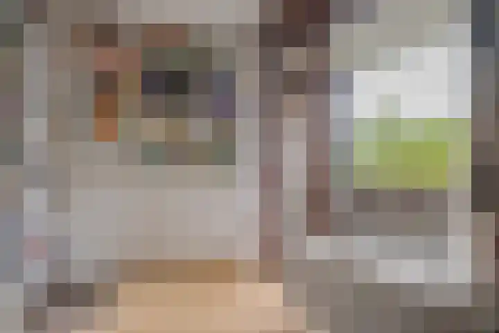 Schelpkreek 27 Zwolle thumbnail 56