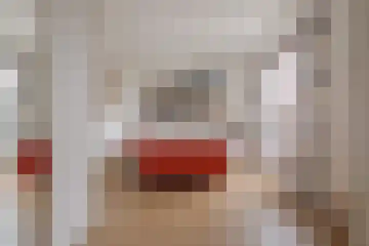 Schelpkreek 27 Zwolle thumbnail 60
