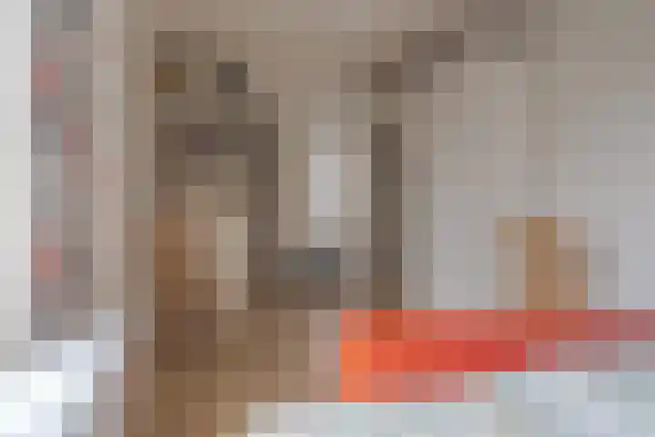 Schelpkreek 27 Zwolle thumbnail 62