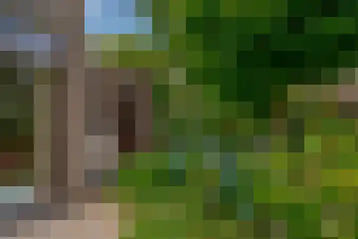 Schelpkreek 27 Zwolle thumbnail 64