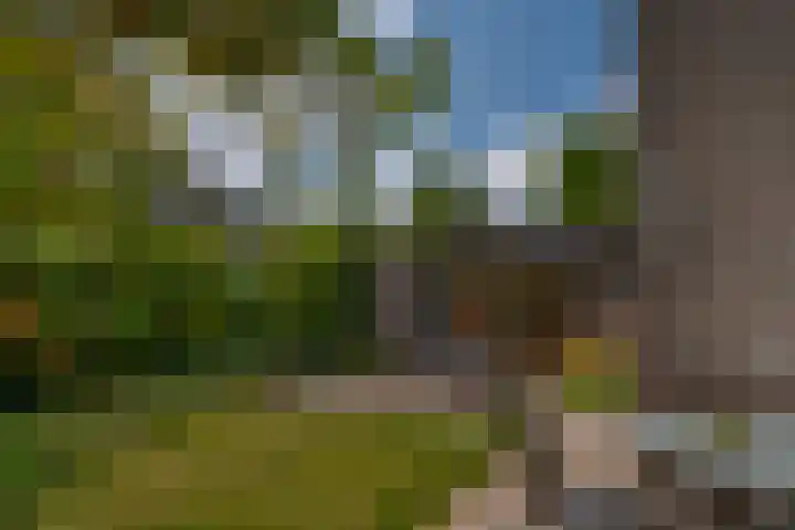 Schelpkreek 27 Zwolle thumbnail 65