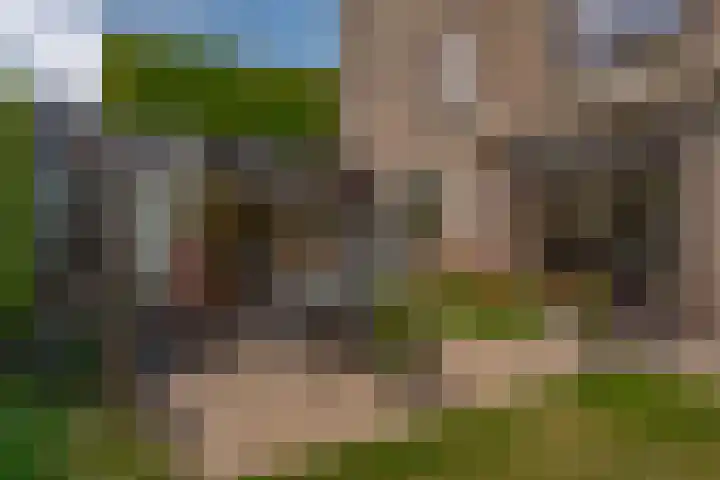Schelpkreek 27 Zwolle thumbnail 66