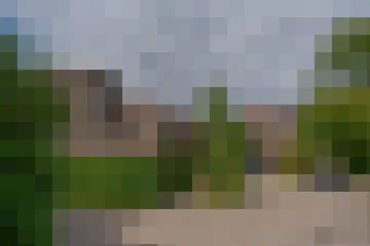 Schelpkreek 27 Zwolle thumbnail 68