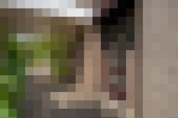 Schelpkreek 27 Zwolle thumbnail 7