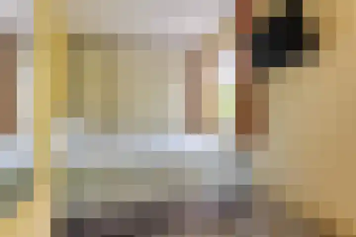 Schelpkreek 28 Zwolle thumbnail 21