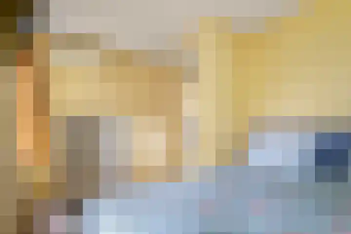Schelpkreek 28 Zwolle thumbnail 22