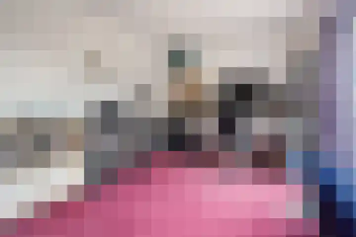 Schelpkreek 28 Zwolle thumbnail 26