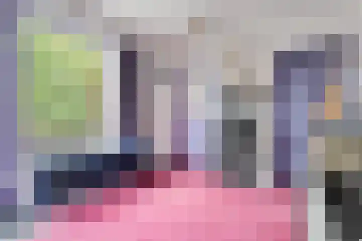 Schelpkreek 28 Zwolle thumbnail 27
