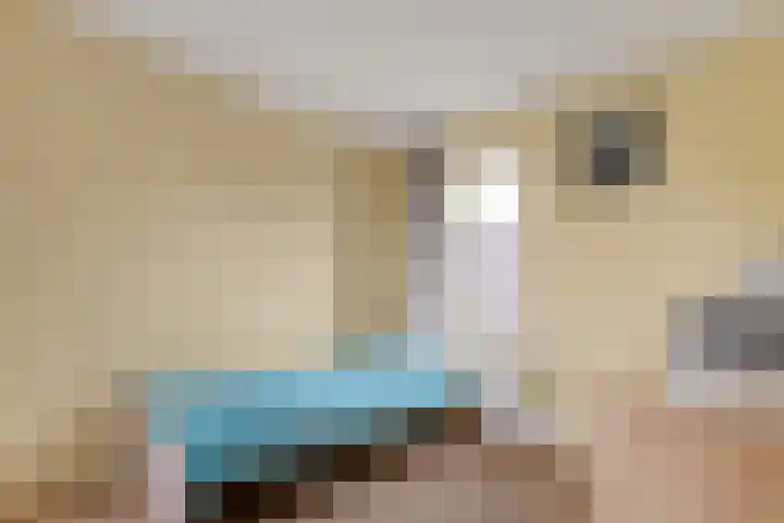Schelpkreek 28 Zwolle thumbnail 28