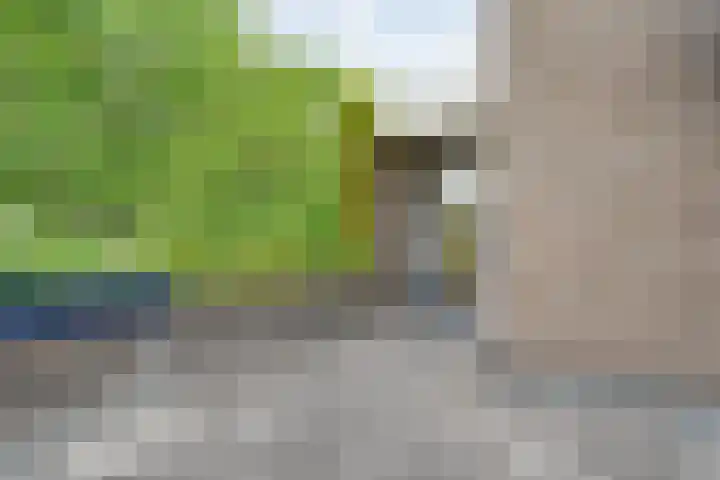 Schelpkreek 28 Zwolle thumbnail 31