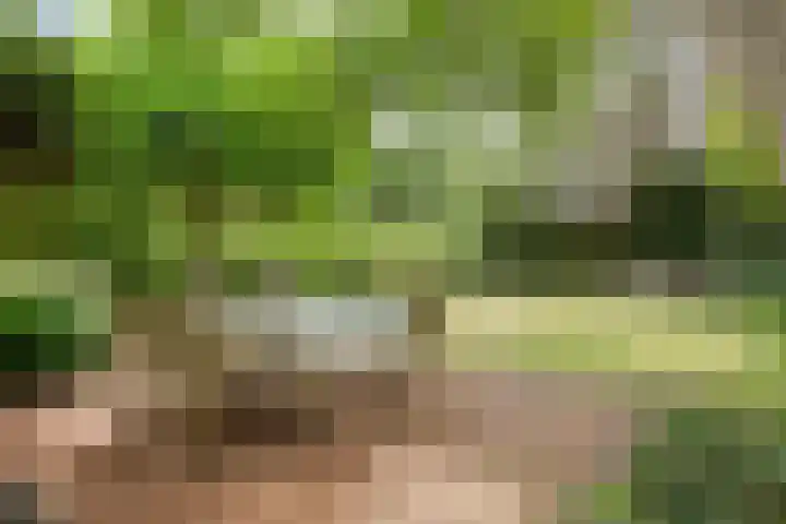 Schelpkreek 28 Zwolle thumbnail 32