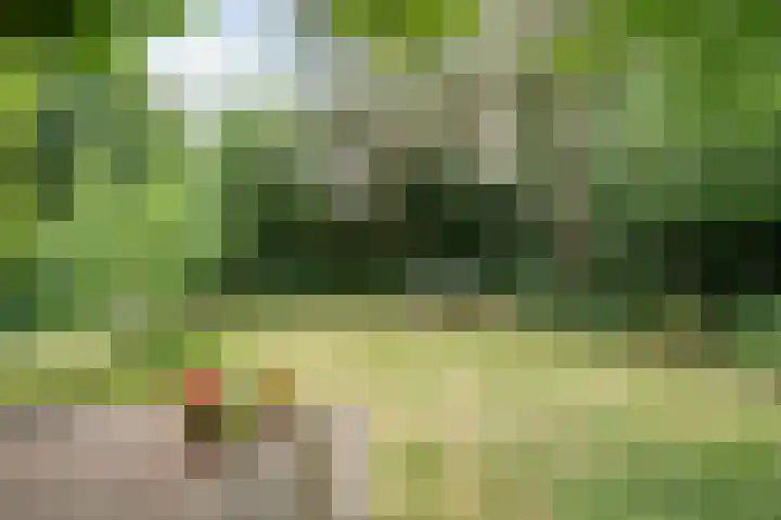 Schelpkreek 28 Zwolle thumbnail 33