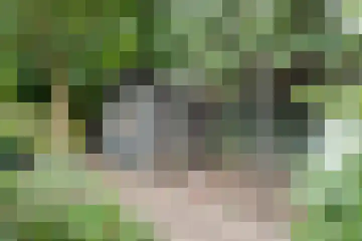 Schelpkreek 28 Zwolle thumbnail 34
