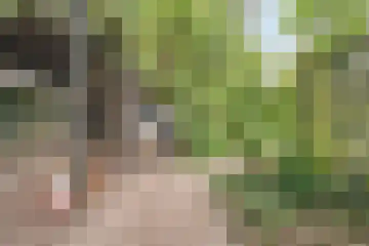 Schelpkreek 28 Zwolle thumbnail 35