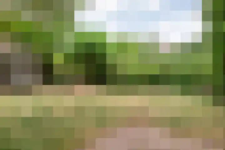 Schelpkreek 28 Zwolle thumbnail 36