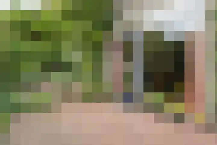 Schelpkreek 28 Zwolle thumbnail 37