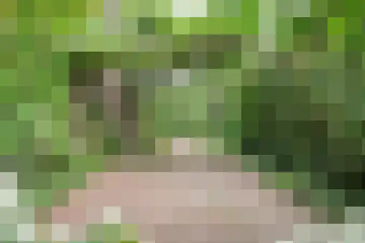 Schelpkreek 28 Zwolle thumbnail 38