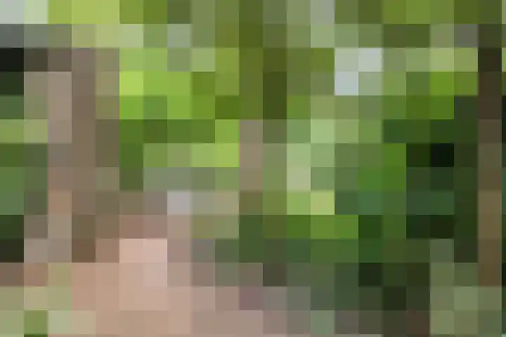 Schelpkreek 28 Zwolle thumbnail 39