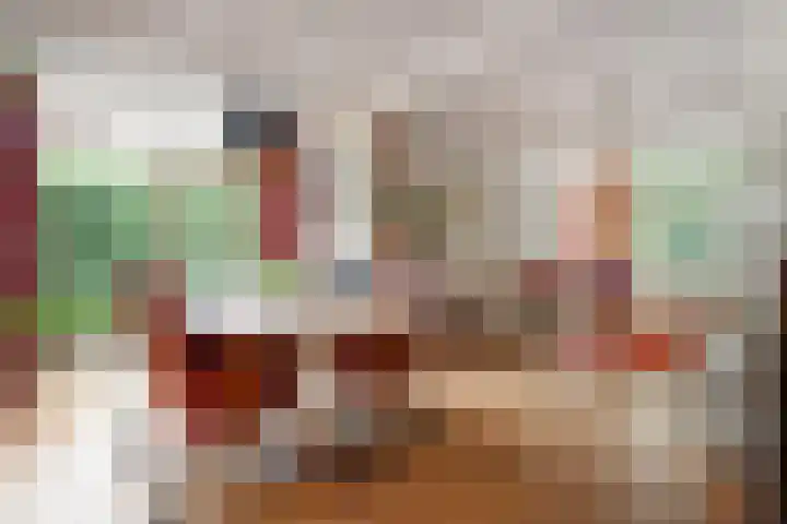Schelpkreek 28 Zwolle thumbnail 4