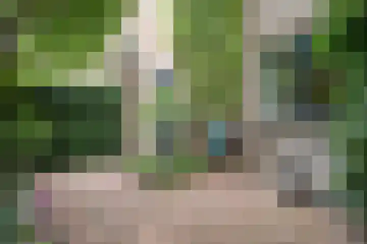 Schelpkreek 28 Zwolle thumbnail 40