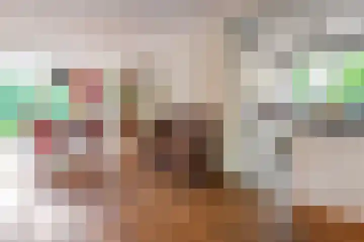 Schelpkreek 28 Zwolle thumbnail 9