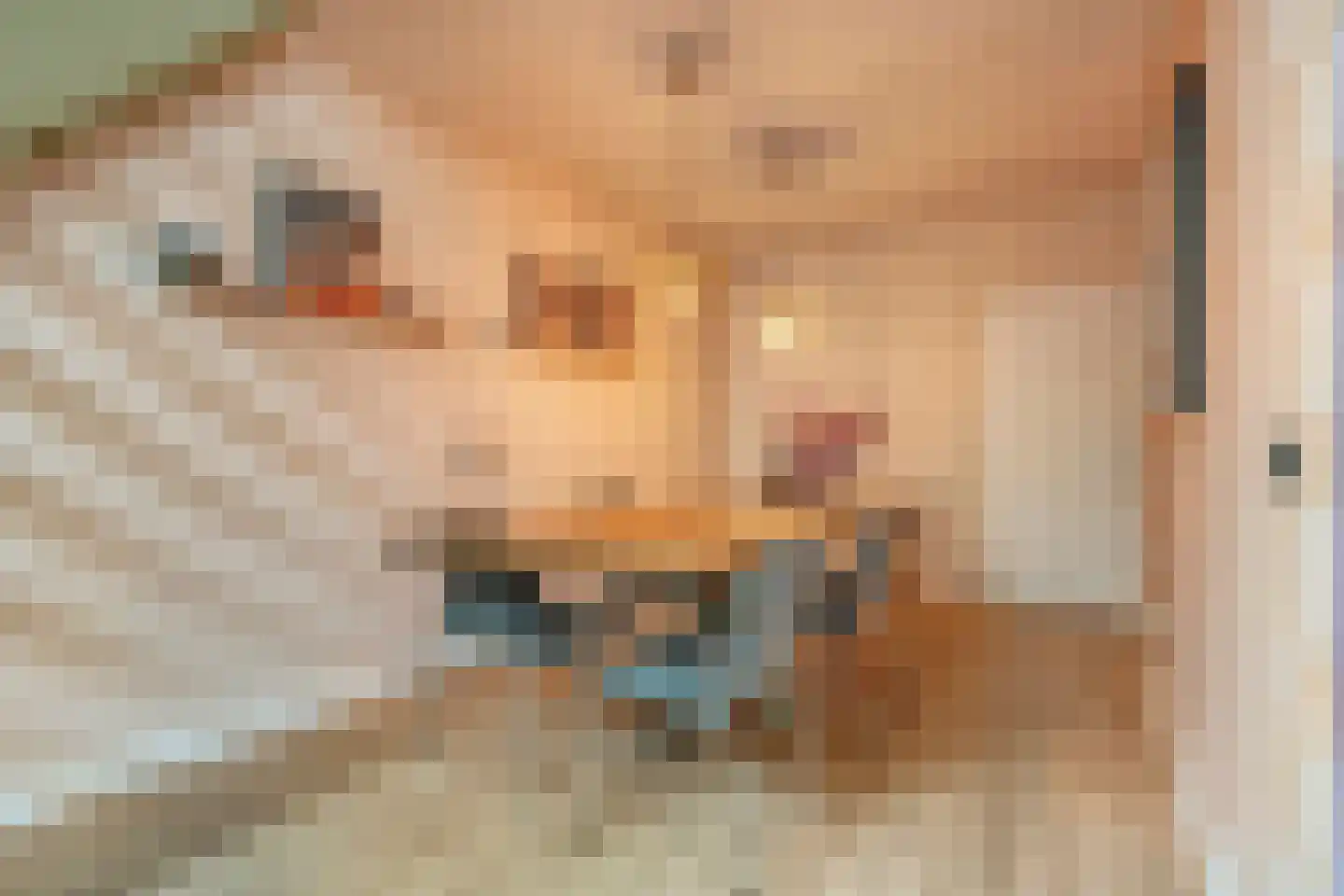 Schelpkreek 5 Zwolle thumbnail 15