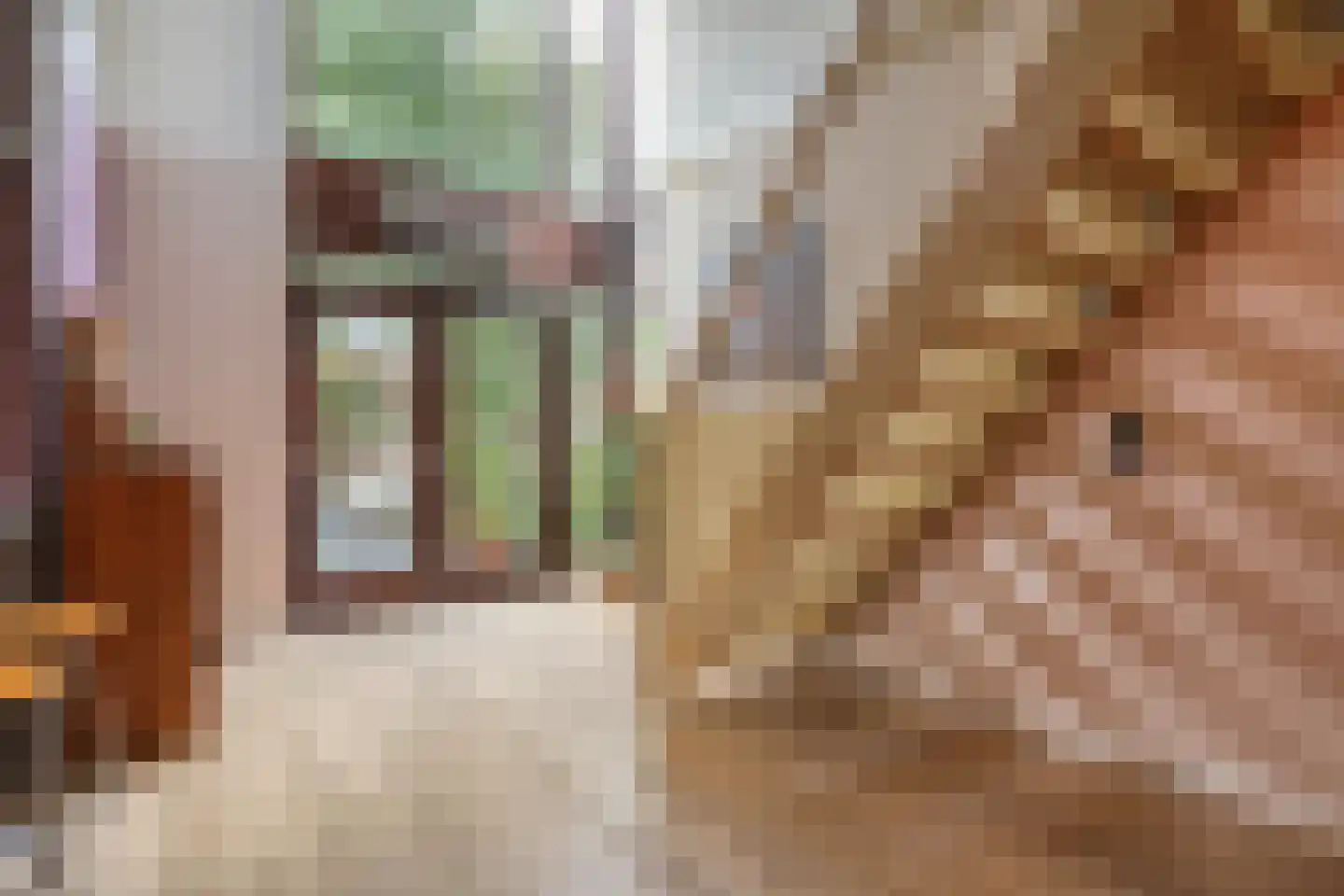 Schelpkreek 5 Zwolle thumbnail 18