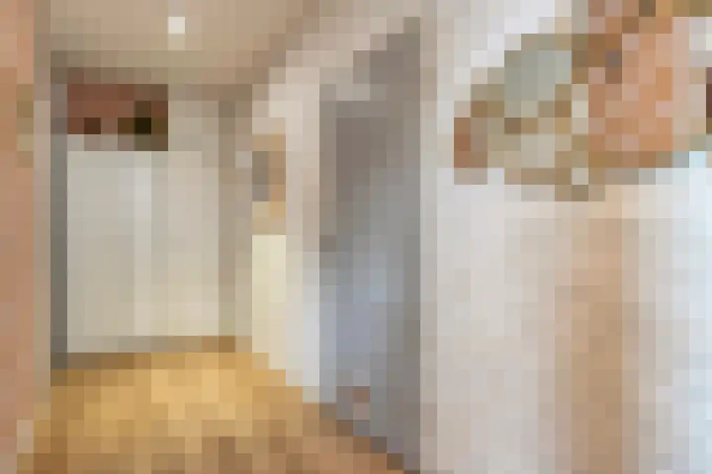 Schelpkreek 5 Zwolle thumbnail 21