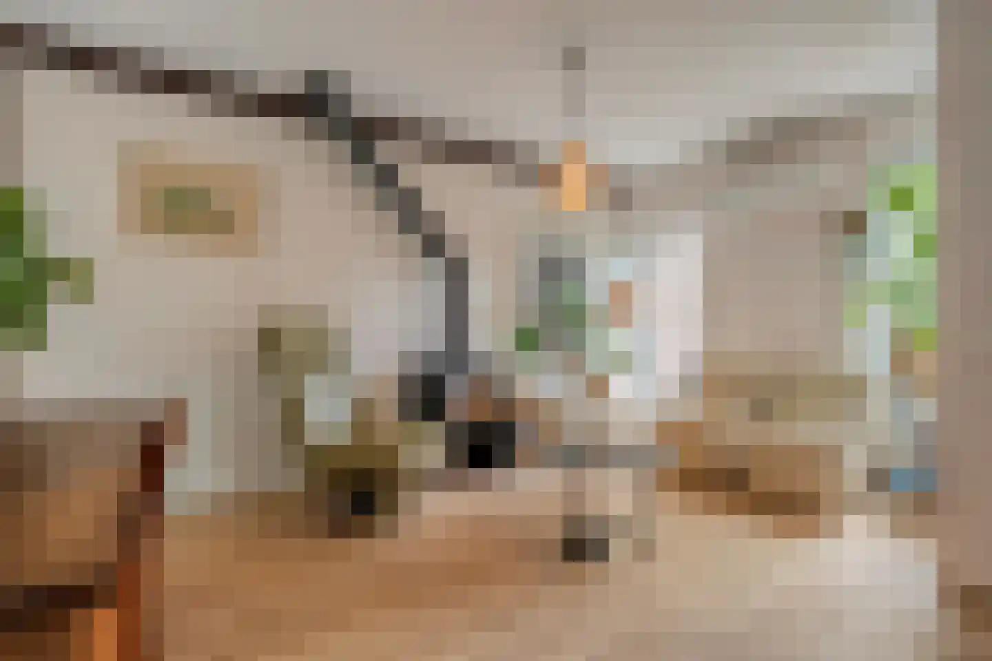 Schelpkreek 5 Zwolle thumbnail 26