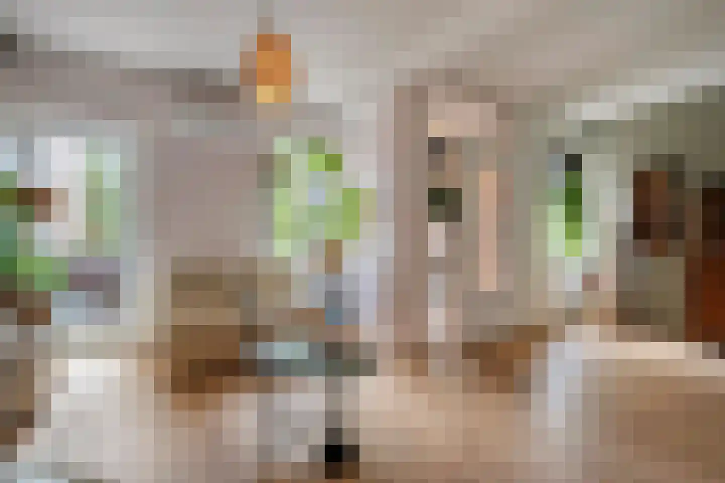 Schelpkreek 5 Zwolle thumbnail 27
