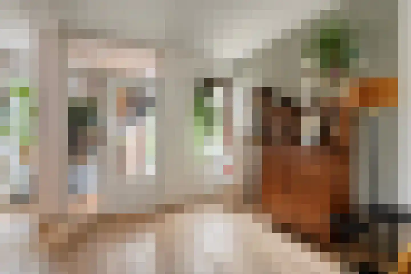 Schelpkreek 5 Zwolle thumbnail 29