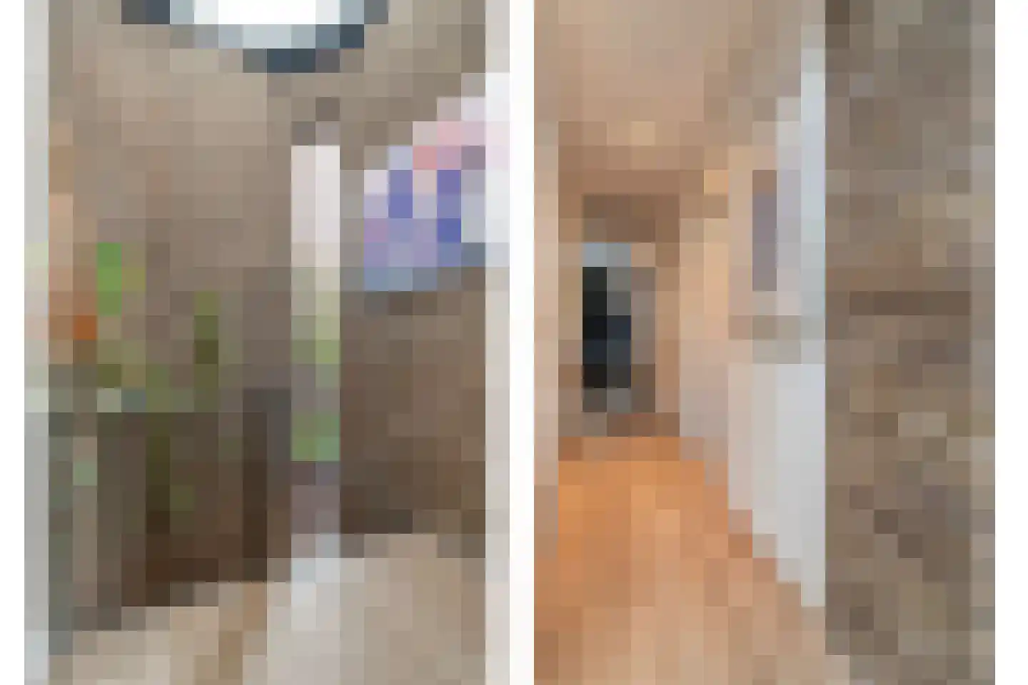 Schelpkreek 5 Zwolle thumbnail 30