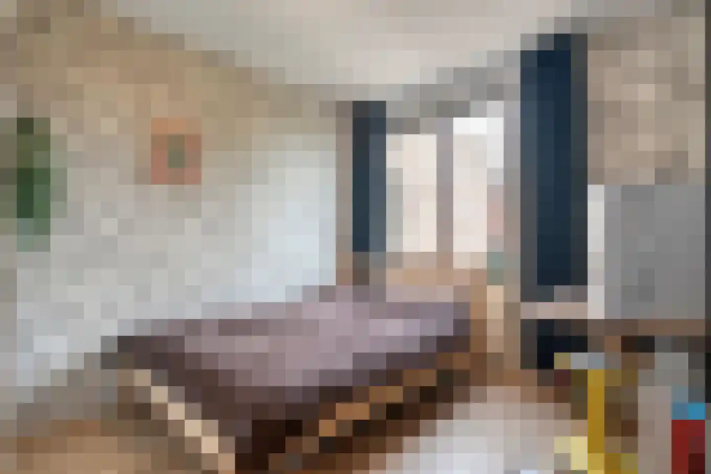 Schelpkreek 5 Zwolle thumbnail 35