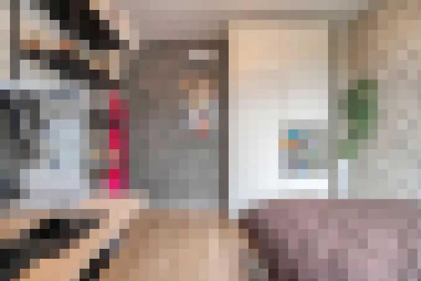 Schelpkreek 5 Zwolle thumbnail 36