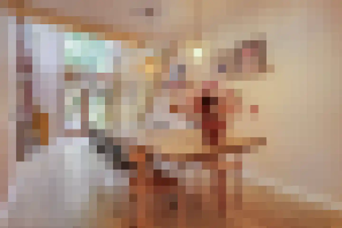 Schelpkreek 5 Zwolle thumbnail 4