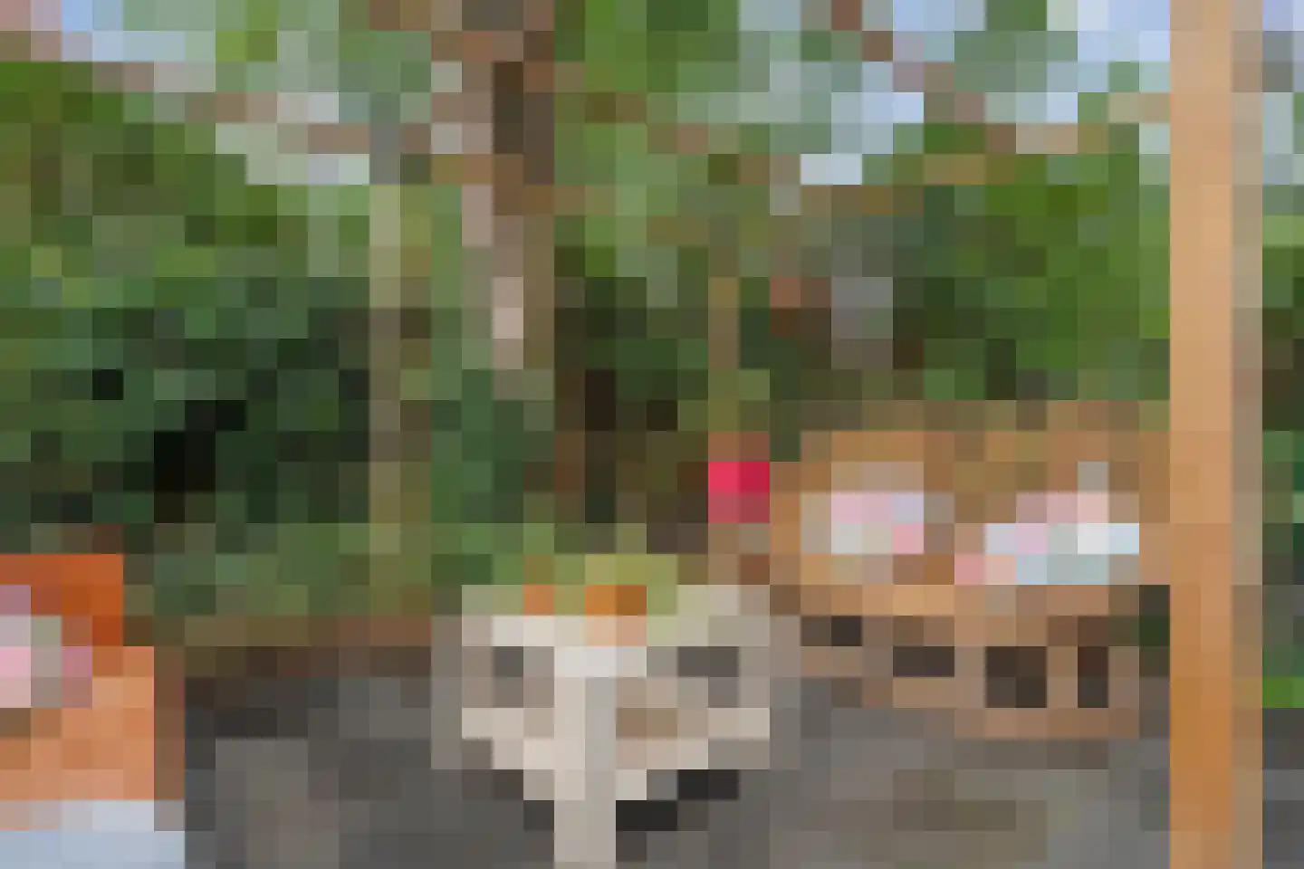 Schelpkreek 5 Zwolle thumbnail 40
